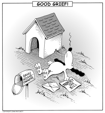 Property Tax-Good Grief